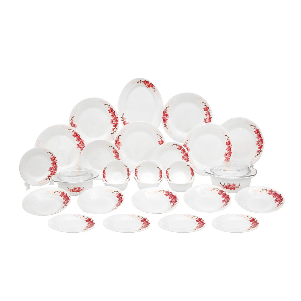 Dinexe Opal Glass Dinnerware Set 24pcs - Orchid