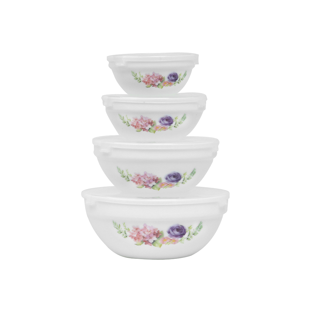Dinexe Opal Glass Dinnerware Set 16 Pcs - La' Rossa