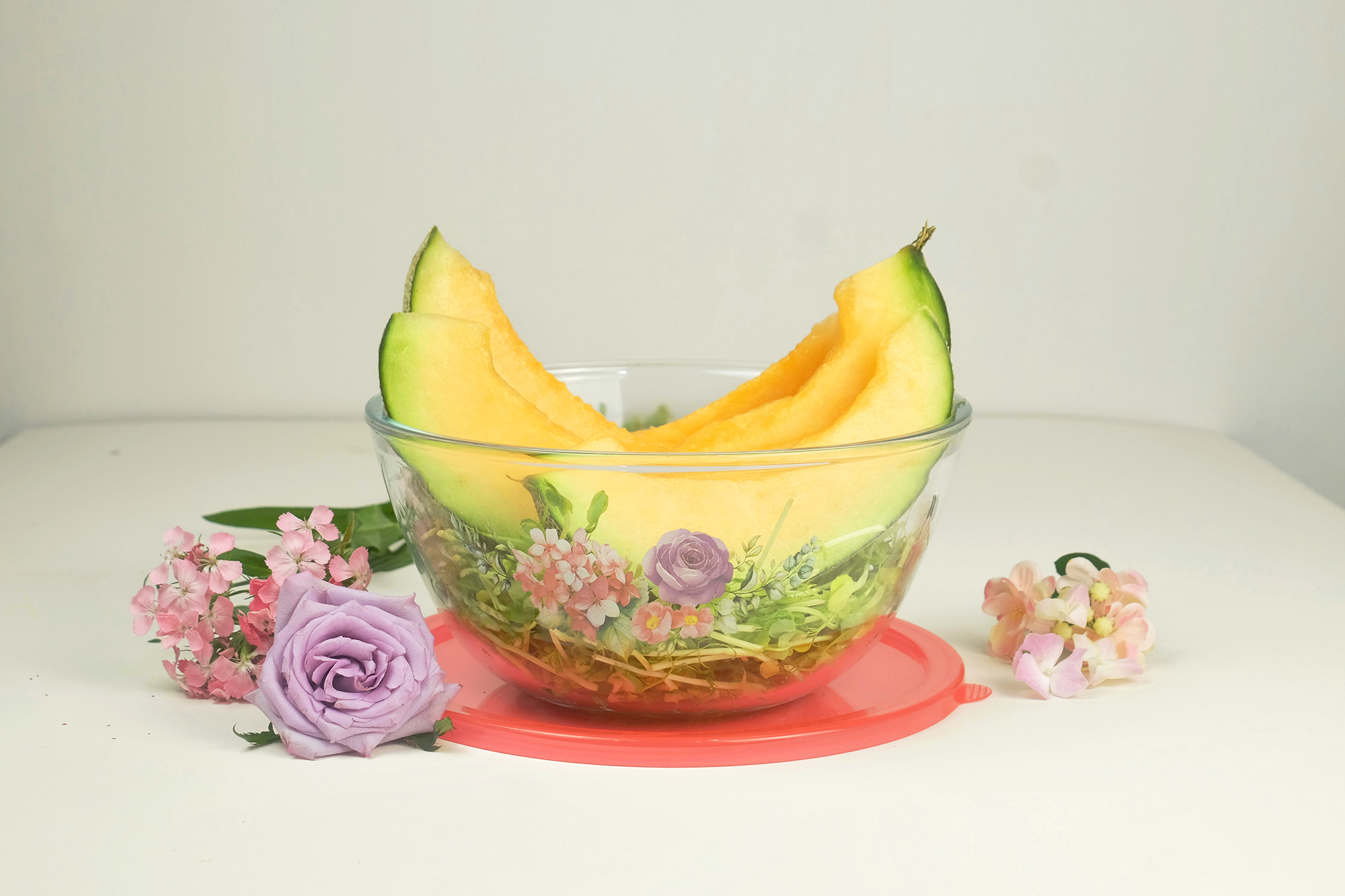 Ecolock High Borosilicate & Opal Glass Serveware Combo Set (5 Pcs) - La' Rossa (With Free Gift)
